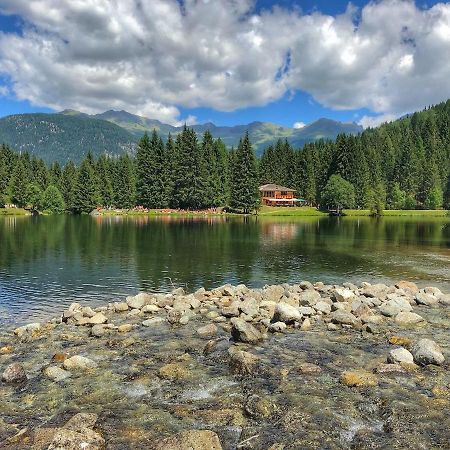 Casa Matteotti Mezzana Trentino Leilighet Eksteriør bilde