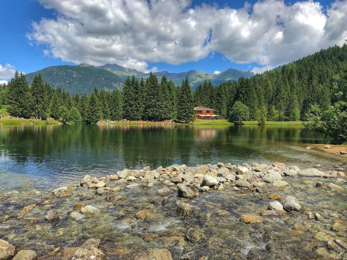 Casa Matteotti Mezzana Trentino Leilighet Eksteriør bilde